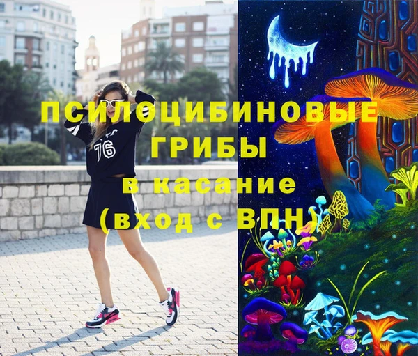 стафф Верея