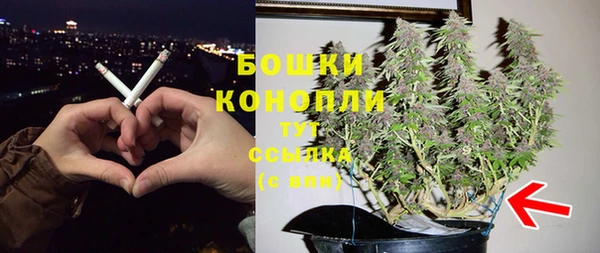 стафф Верея