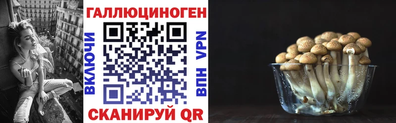 Галлюциногенные грибы Psilocybe  наркота  Волоколамск 