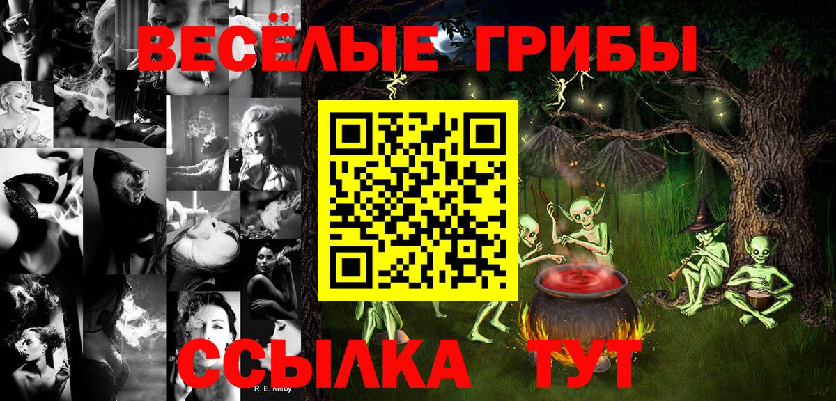 Галлюциногенные грибы Psilocybine cubensis Волоколамск